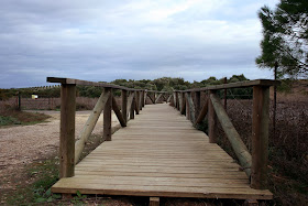 Pasarela de madera en la orilla de la Laguna de Medina