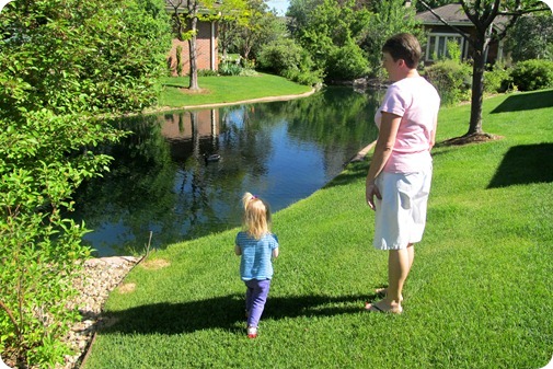 The Polo Club Grounds