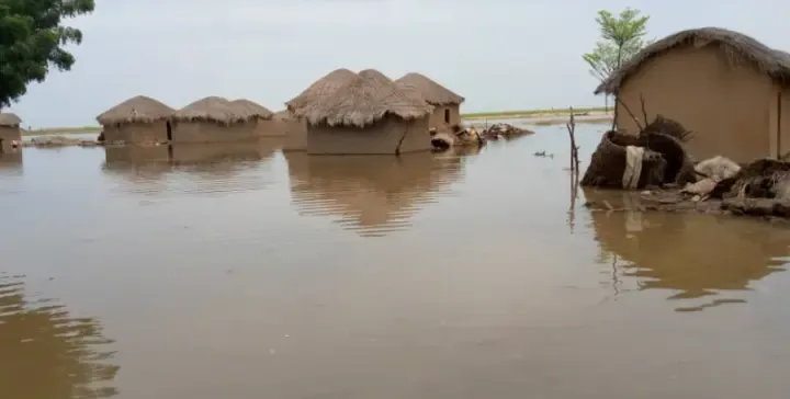 Inondations au Cameroun : l'effondrement d'un pont isole Yagoua, aggravant une crise humanitaire dans l'Extrême-Nord.