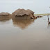 Inondations au Cameroun : crise humanitaire après l'effondrement d'un pont qui isole Yagoua