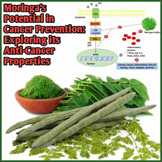 Moringa-prevention of cancer