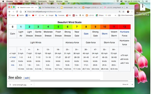 Strength of Wind At Miles Per Hour