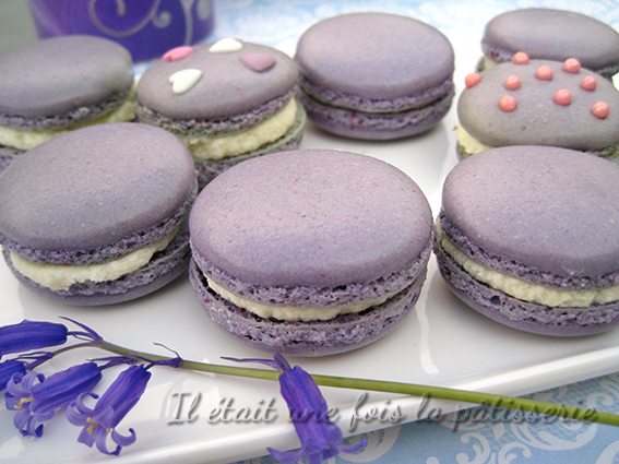 macarons violette