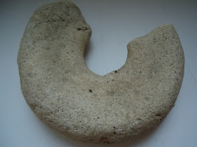 FOSSIL AMMONITE