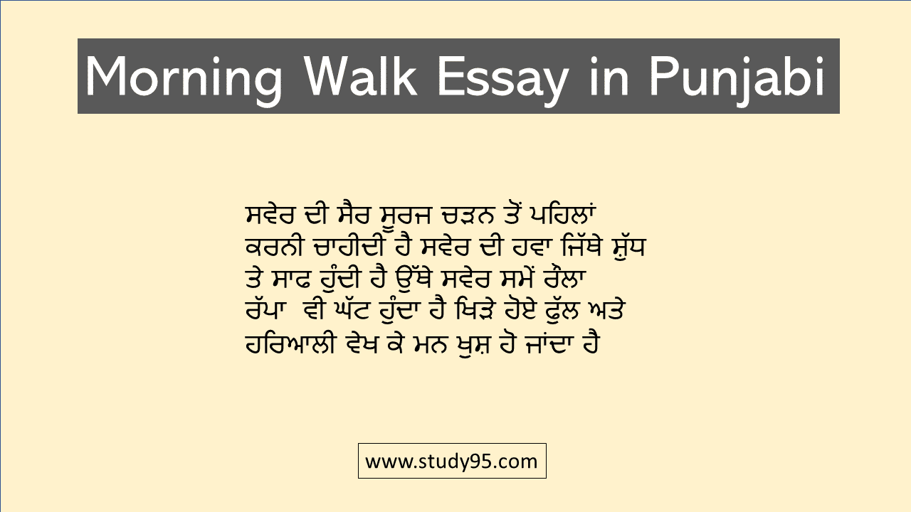 Swer Di Sair Essay in Punjabi
