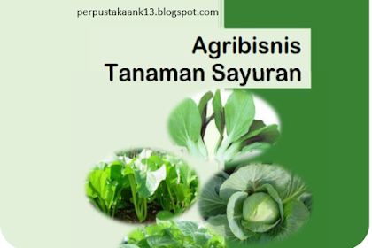 Buku Agribisnis Tanaman Sayuran Kurikulum 2013
