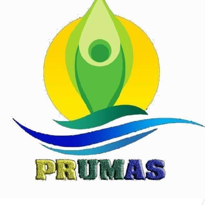PRUMAS 2020: FULL LIST OF NOMINEES FOR PRUMAS 2020
