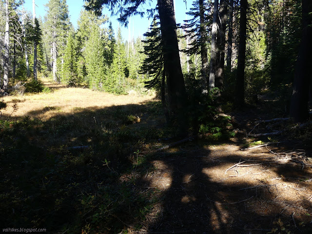 camp beside Willis Hole