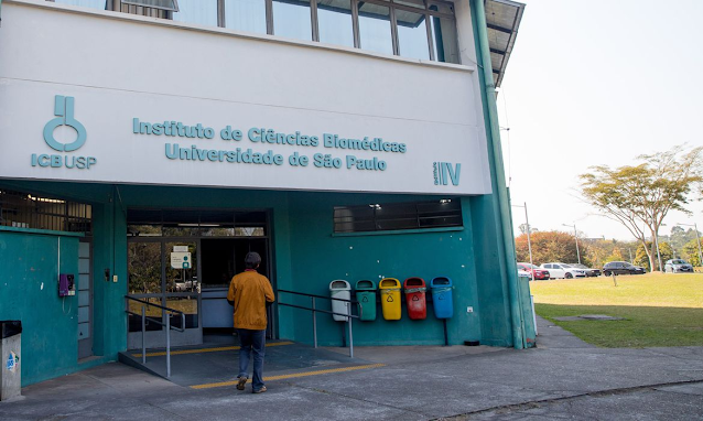 Educação USP