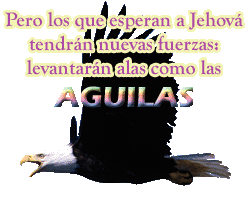 Imagenes Y Reflexiones Eres Bueno Dios Y Por Siempre