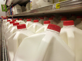 Macro Photograph - Milk in Grocery Store