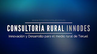 consultoría rural teruel innodes pyme pymes autónomos emprendedor emprendedora emprendedores