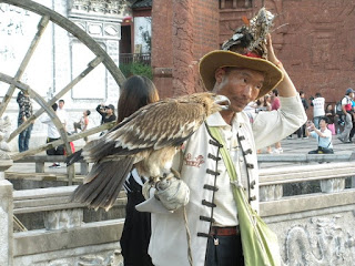 Lijiang uccello