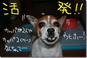 今日カズ１００６２２　１