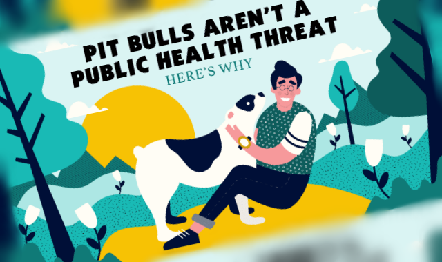 Pit Bulls Aren't a Public Health Threat - Here's Why