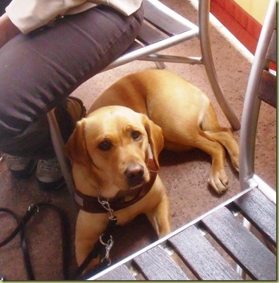 Wendy looking up at me from under Glenda's chair.