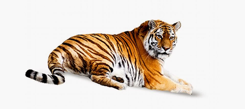 KumpulanpelajaranNazwa Kisah Abu Nawas Menangkap Harimau 