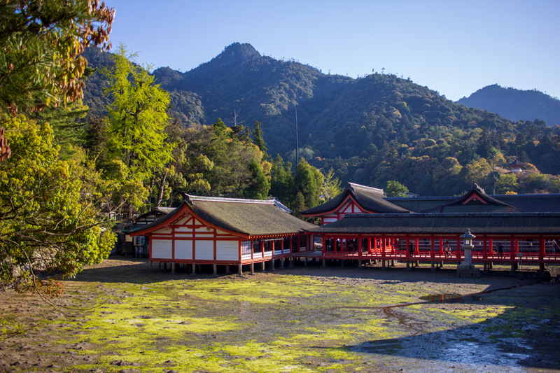 http://www.crazy-kitch.com/2021/01/miyajima.html