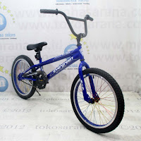 Evergreen BMX Torpedo