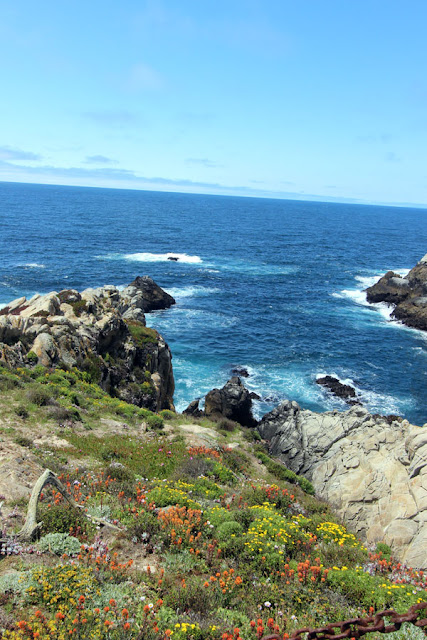 Point Lobos State Reserve, Cypress Trail, Headland Cove