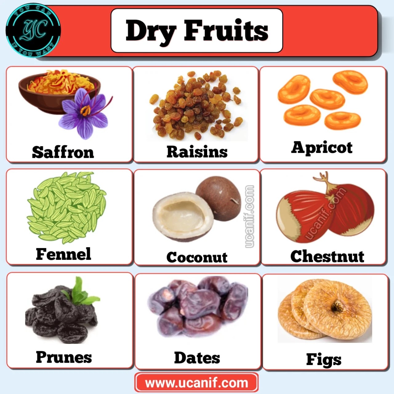 dry fruits name in English, 10 dry fruits name, dry fruits names and images
