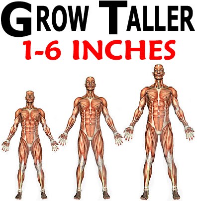 +to+increase+height