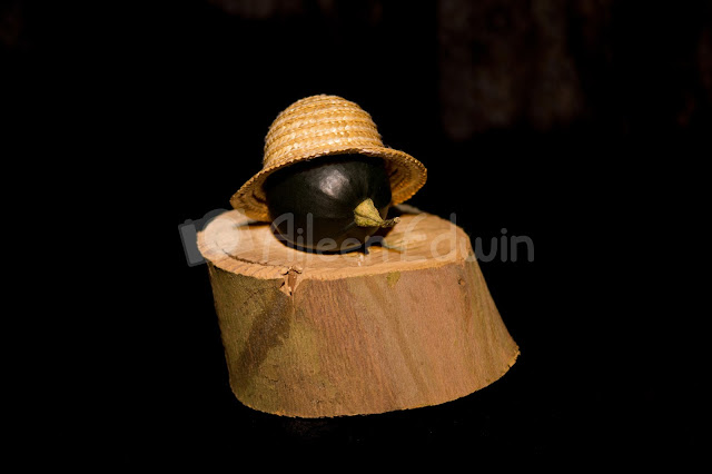 A small pumpkin wearing a hat, sitting on a log on a black background