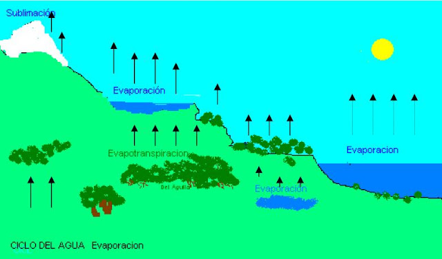 ciclo del agua evaporacion