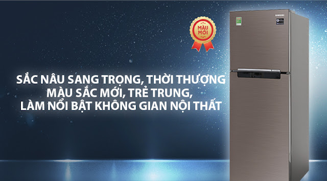 Tủ lạnh Samsung Inverter 236 lít RT22M4032DX/SV 