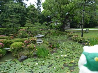 変換 ~ RIMG0146.jpg