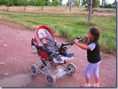 buggy