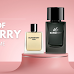 What Is the Allure of Burberry Body Perfume