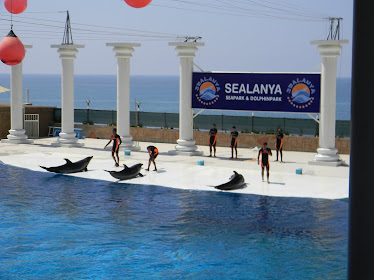 Turkey-2010
