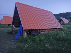 DSC02388
