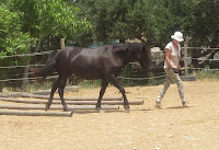 Ost Κreta , Horsemanship für Frauen