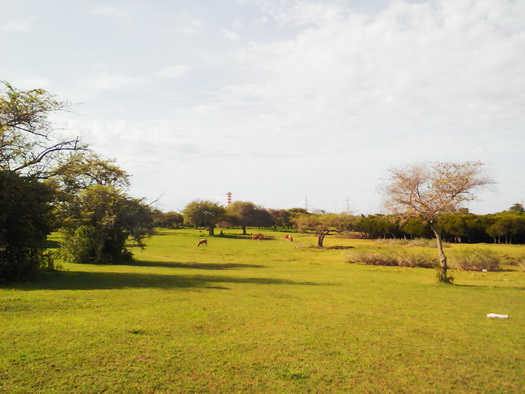 Pantai Karang Sewu Gilimanuk