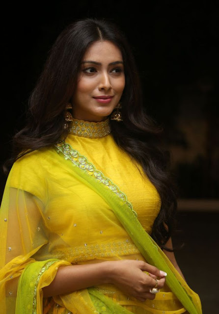 Pallavi Subhash pics in yellow outfits