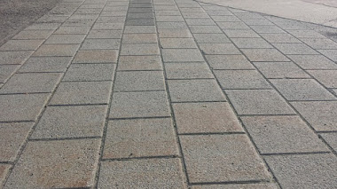 Cómo eliminar el olor a orina de perro del cemento