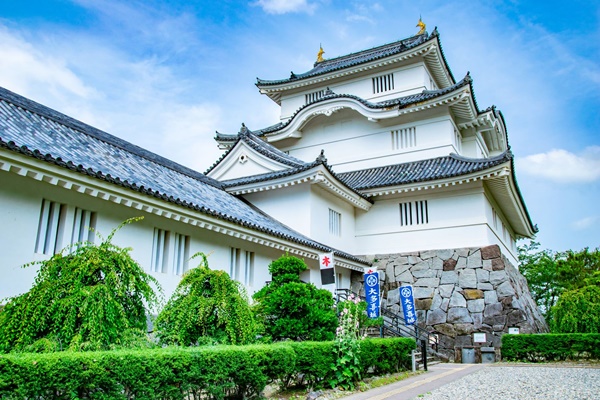 ปราสาทโอตากิ (Otaki Castle: 大多喜城)