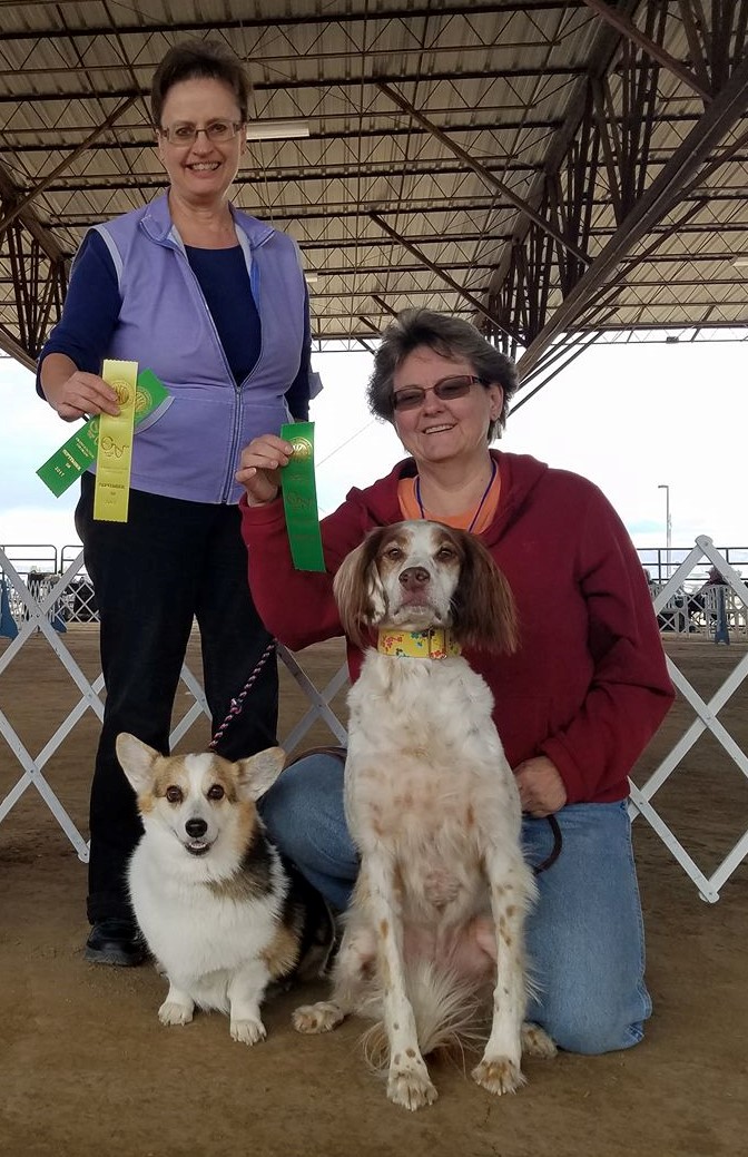 Grand Valley Kennel Club Dog Shows