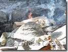 fire and sacrifice