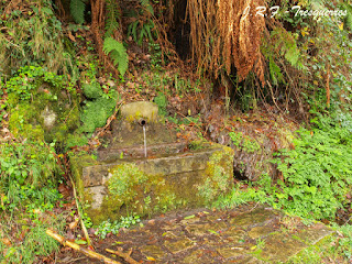 Fuente de Paín