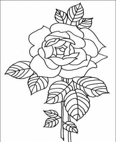 Flower Coloring Pages on Flower Coloring Pages