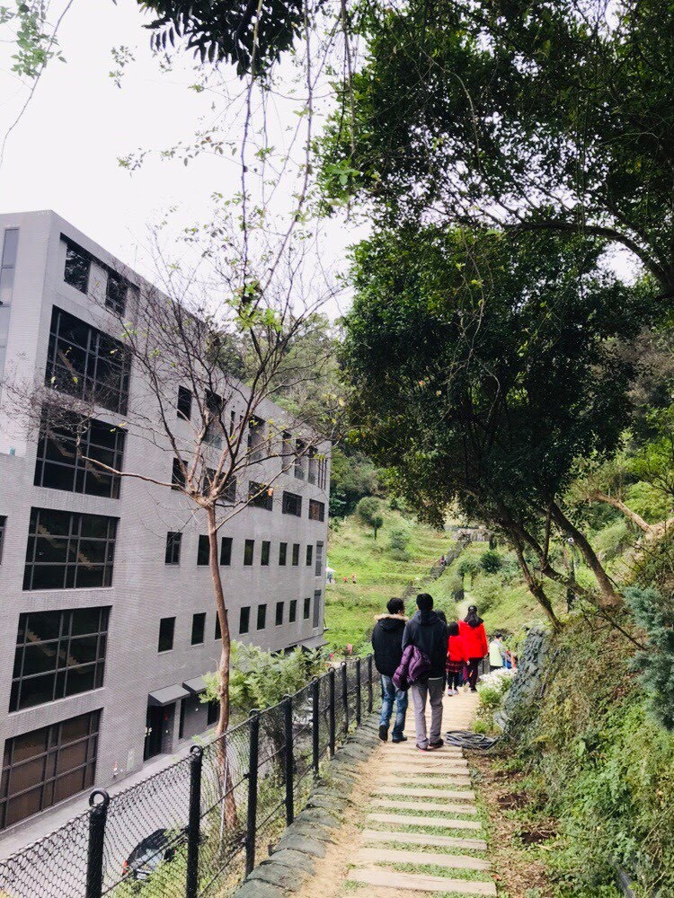 頭屋景點 雅聞七里香玫瑰森林