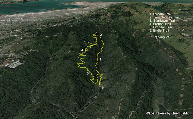 Stream french loop map - Redwood Regional Park