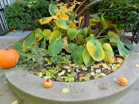 Toronto Garden District Fall Cleanup Before by Paul Jung Gardening Services--a Toronto Gardening Company