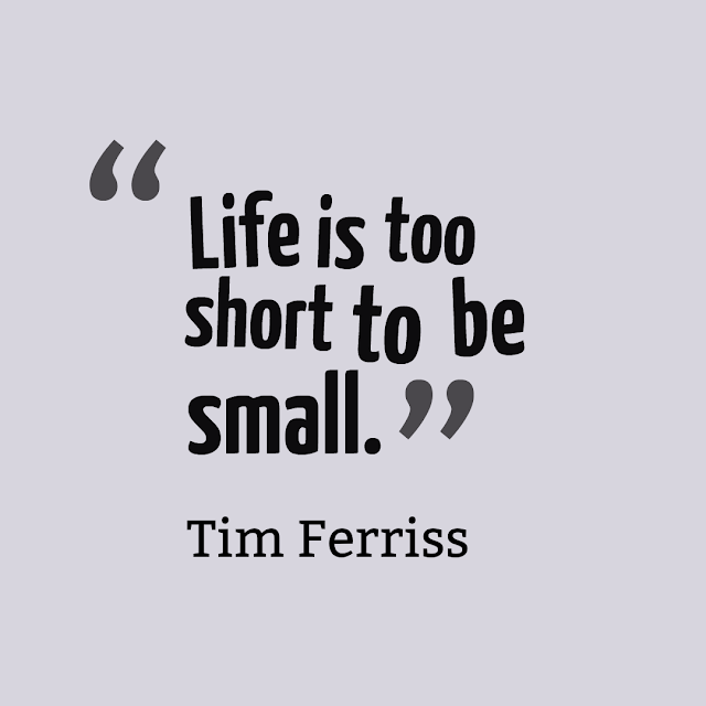 Tim Ferriss Quotes About Life