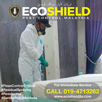 Pest Control Selangor