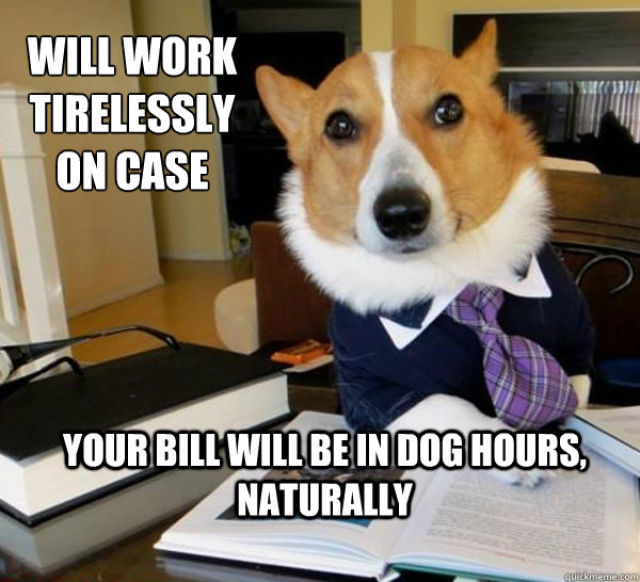 lawyer dog meme, meme, funny, funny pictures, dog meme pictures, corgi lawyer dog, corgi meme, dog pictures, funny dog pictures