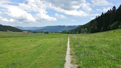 Singletrail nach Tavannes